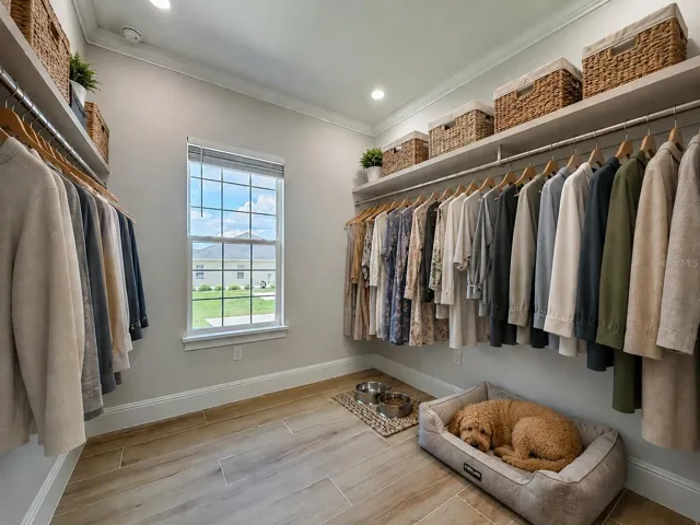 Flex room off laundry area Virtual Staged