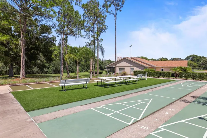 Shuffleboard courts