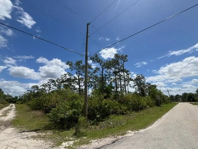 Corner of Hazelwood and Grovewood.
