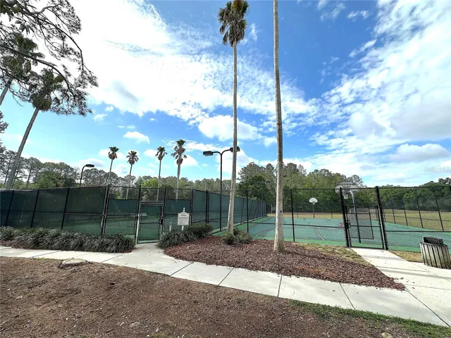 Basketball and Tennis