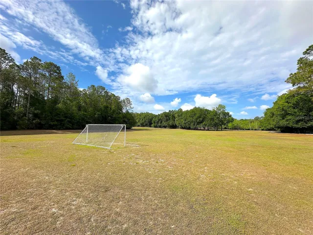 Soccer Field
