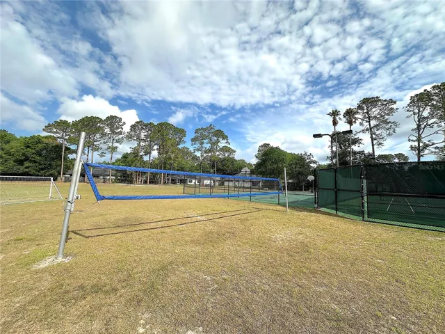 Volleyball Court