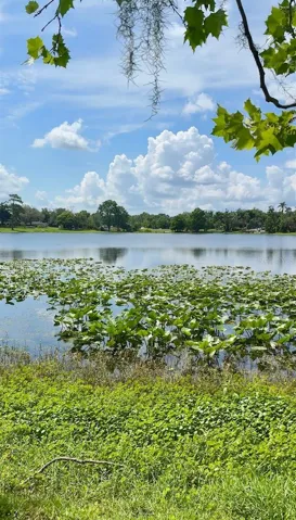 Lake view