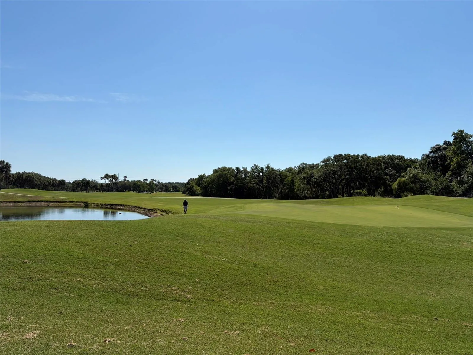 Golf Course Green