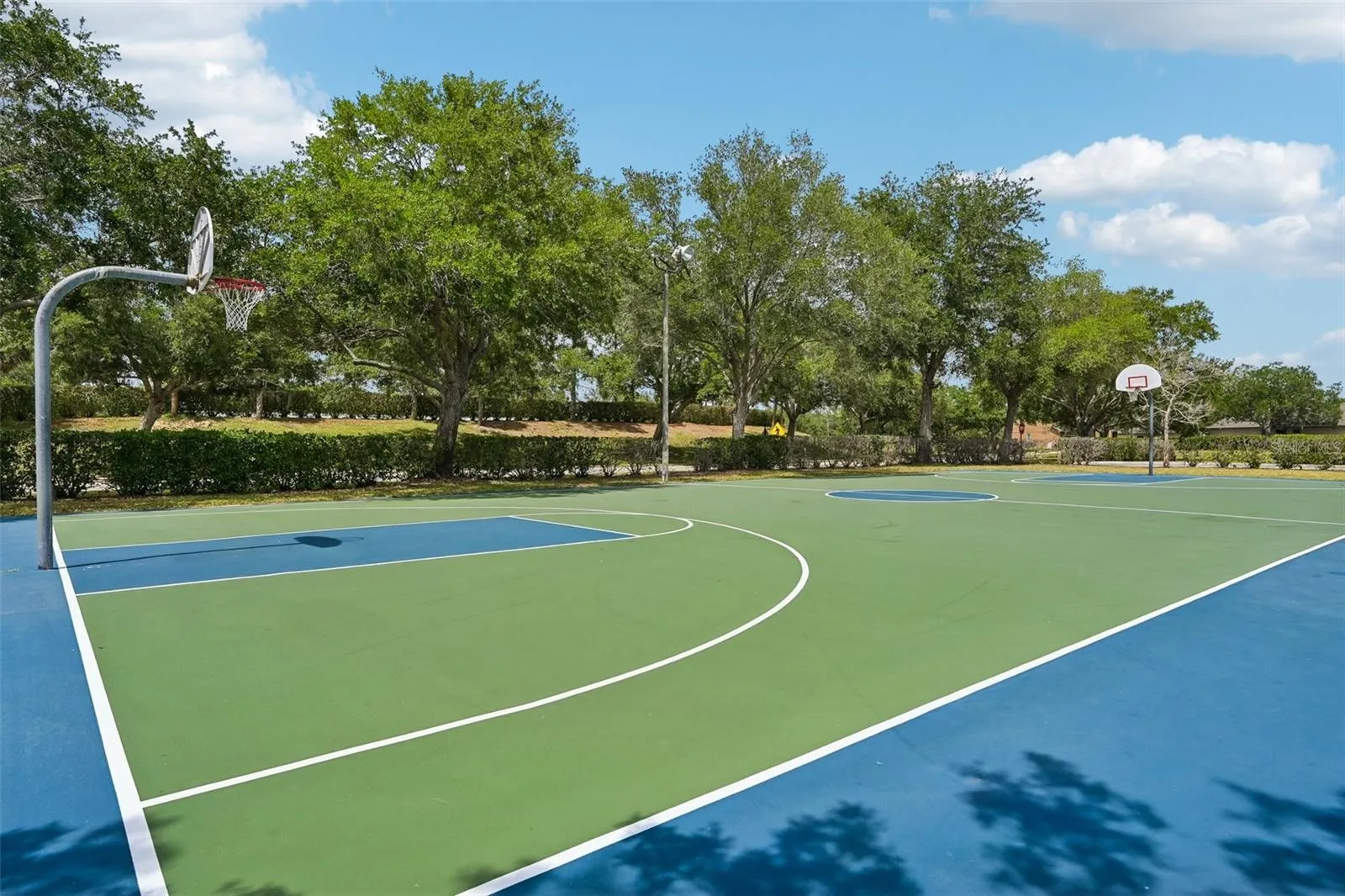 BASKETBALL COURT RECREATION