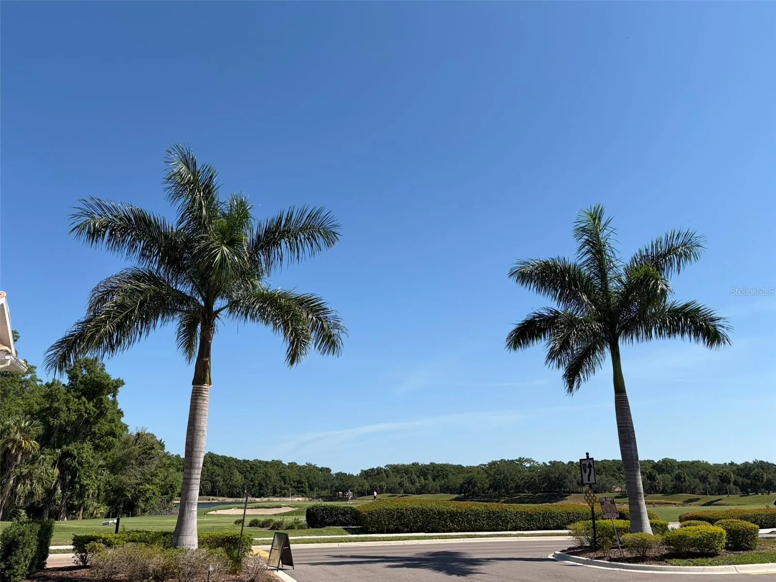 Golf Course Vista