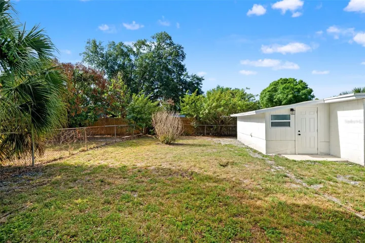 Backyard