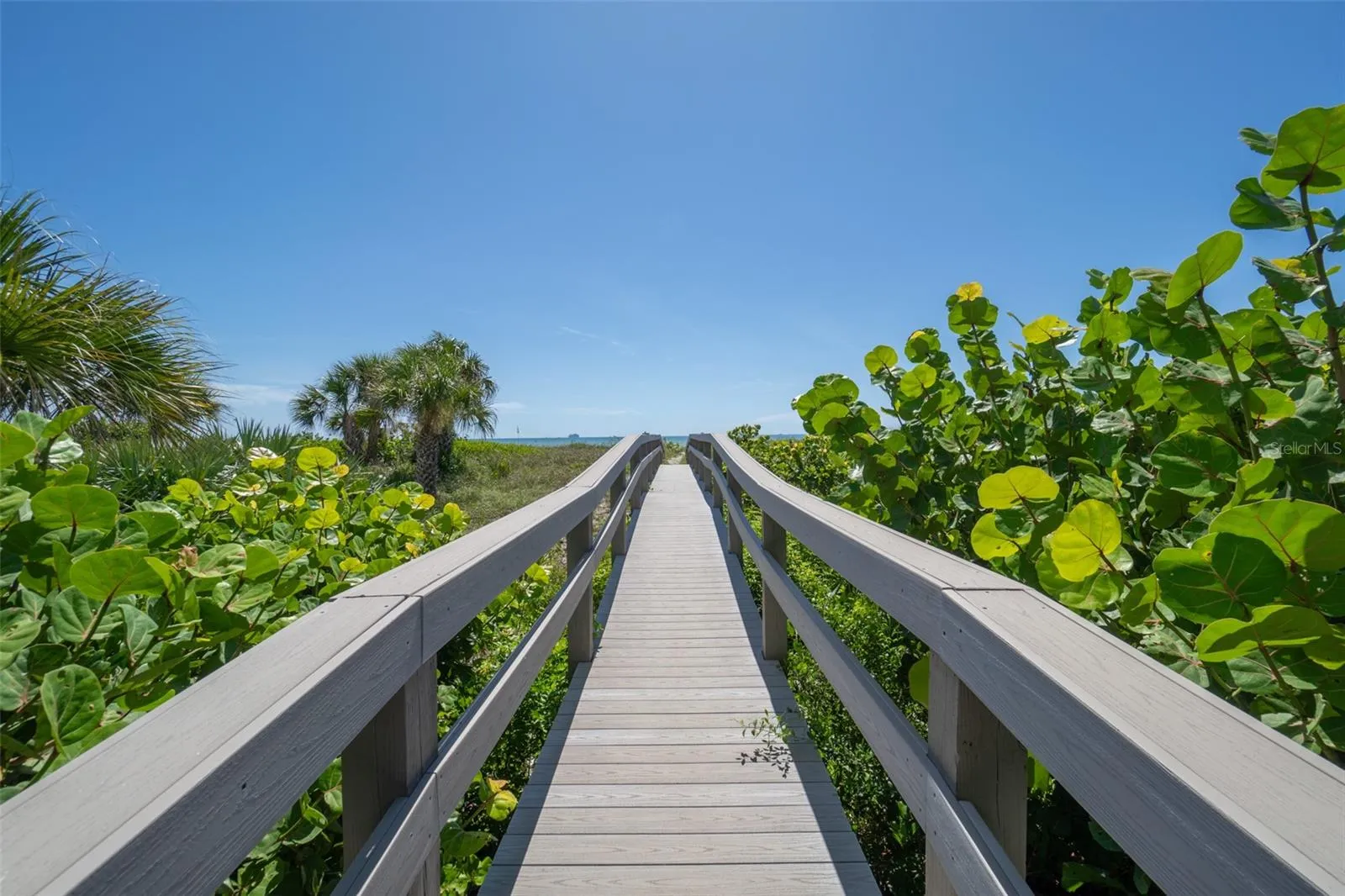 Boardwalk