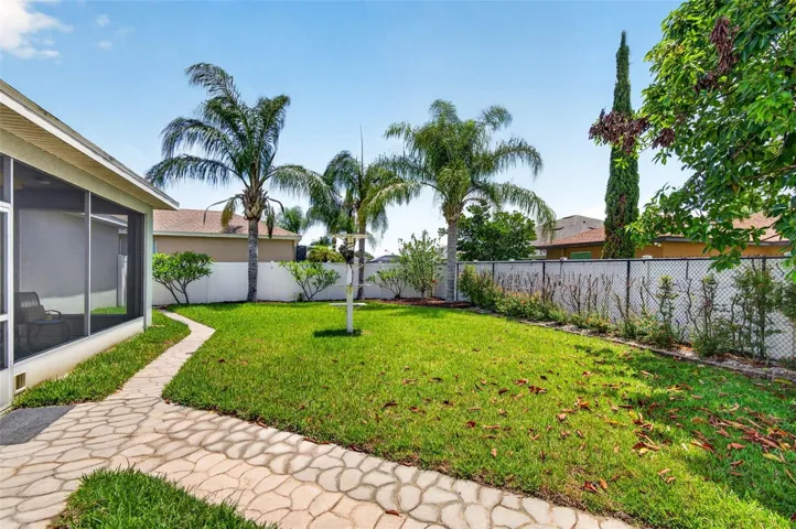 Back yard-Palm trees and more