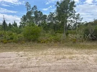 PHOTO FROM ROAD