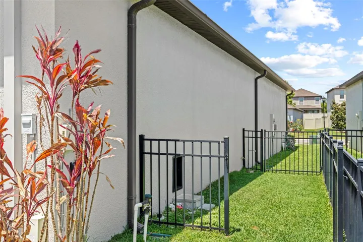 THE SIDEYARD