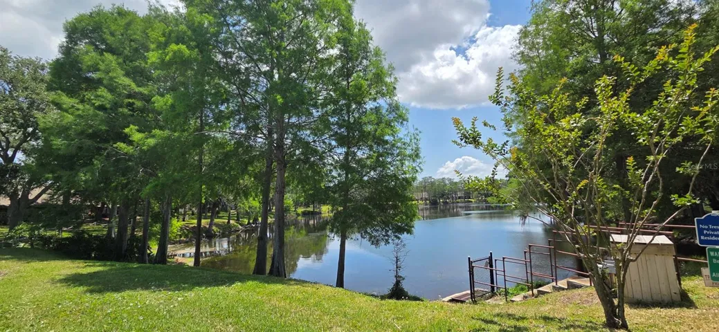Lake off Pool
