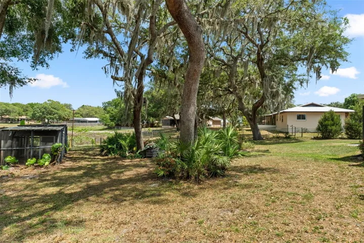Landscaped Yard (Picture 2)