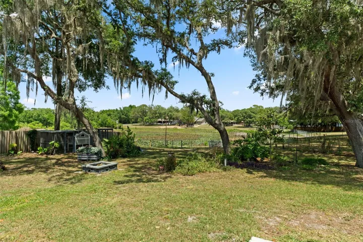 Large Backyard with Chicken Coop and Peaceful Pond View