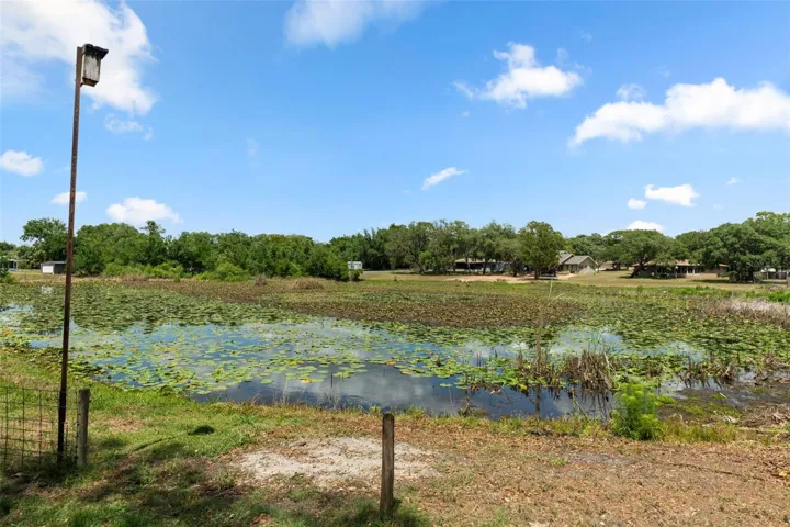 Peaceful Pond