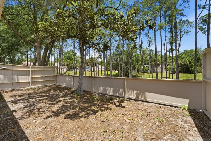 Rear patio