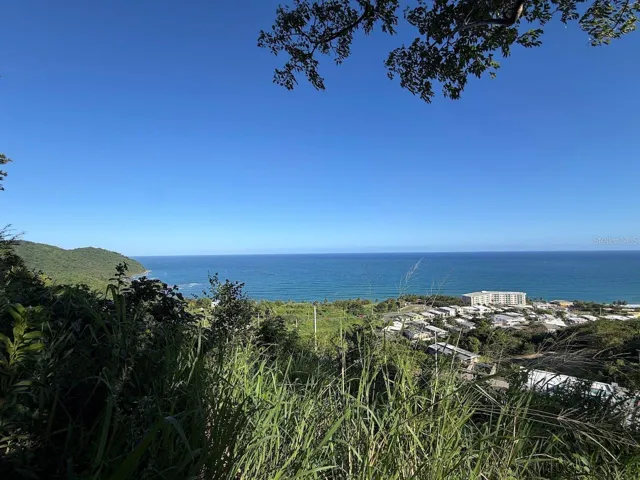 View from rear top of the property