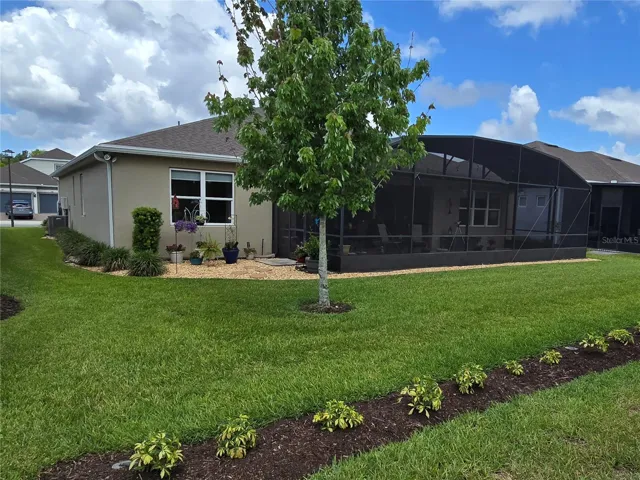 Large Back yard