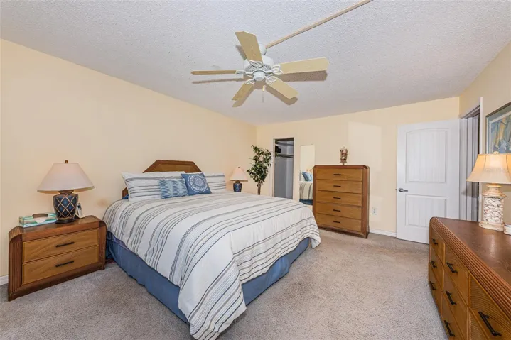 Primary bedroom with walk-in closet