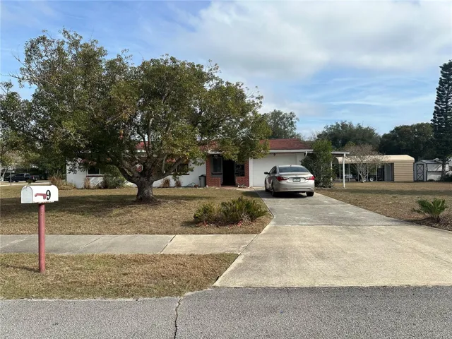 Front Yard