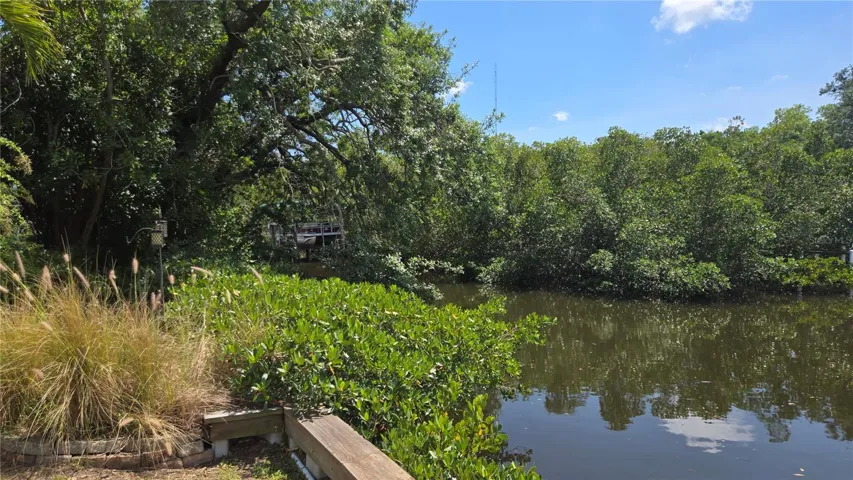 View from back deck