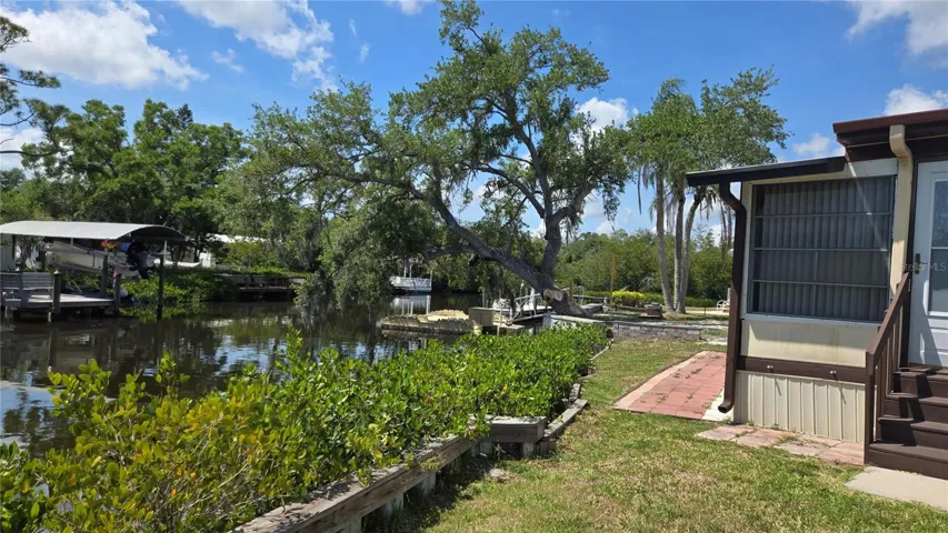 View from back deck