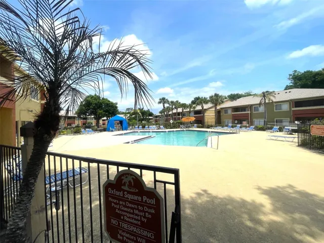 Beautiful Pool
