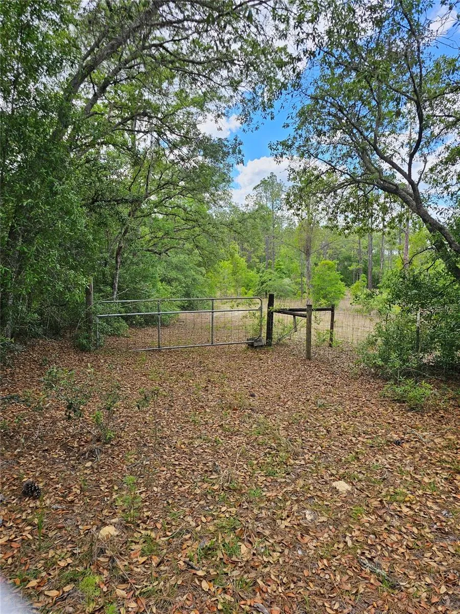 Gate on Ppompano Lane
