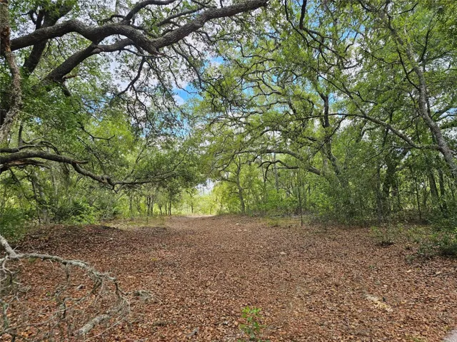 Spacious 2.65 acres ready for your dream home or homes.
