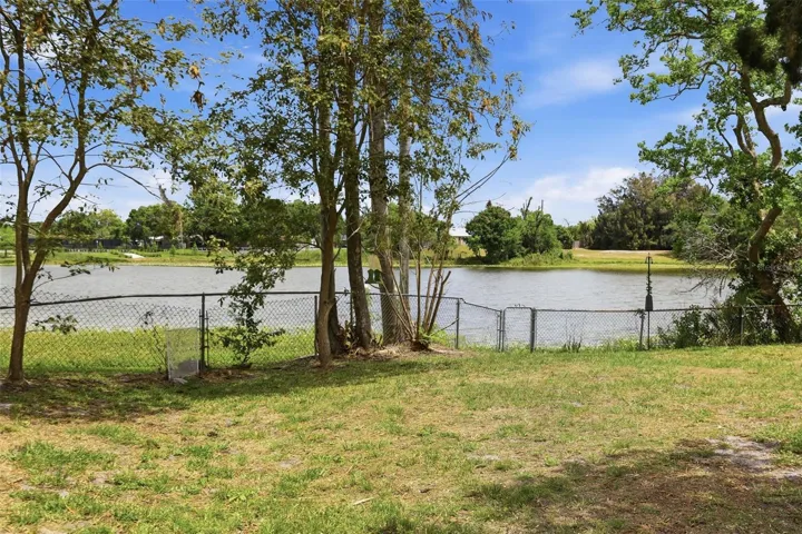 Pond View