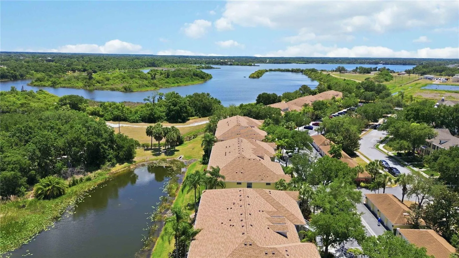 Braden River Views