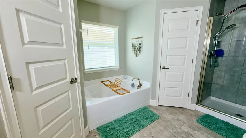 Garden bathtub and door