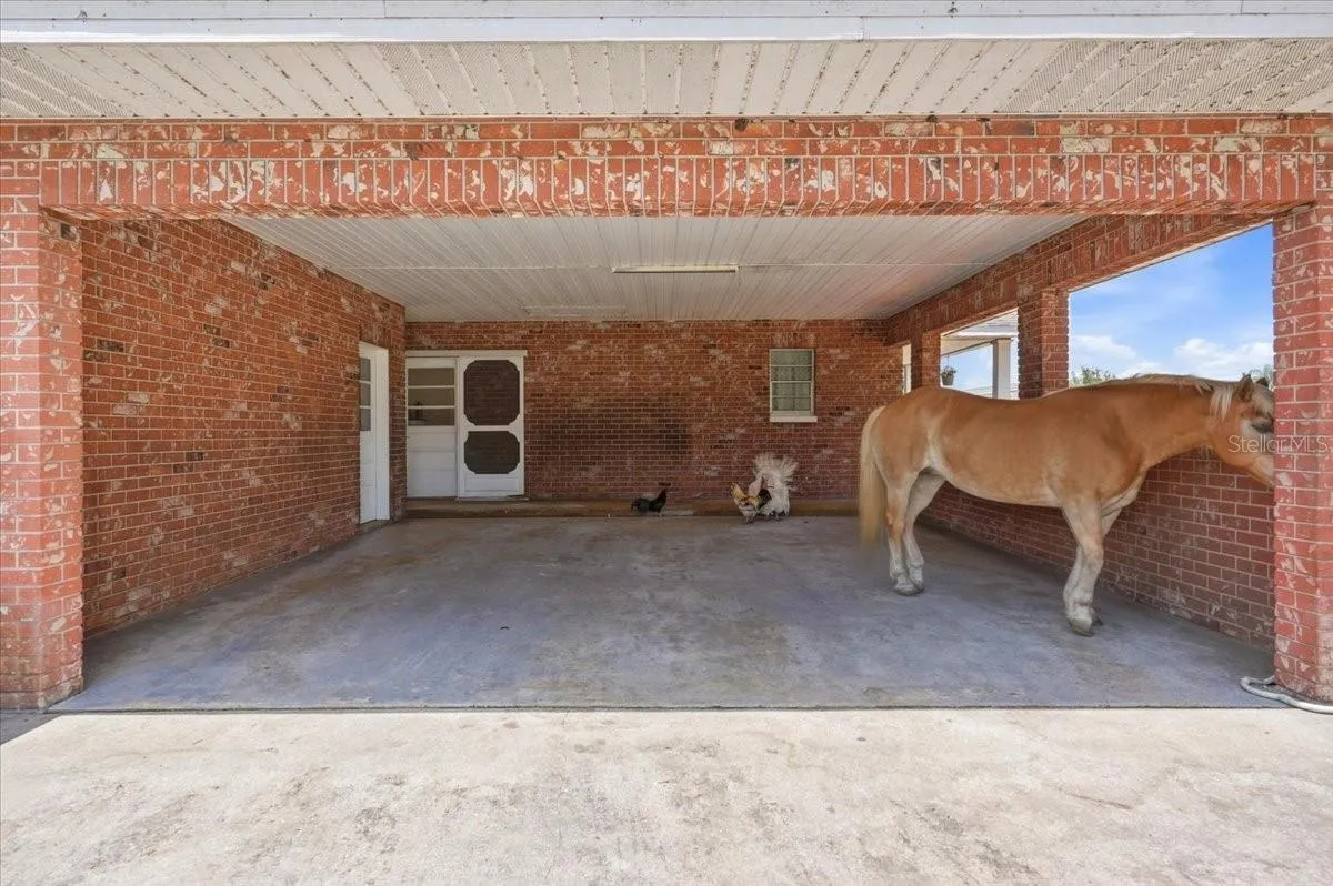 303 Karppe Rd, Plant City, Florida 33567 — photo 26