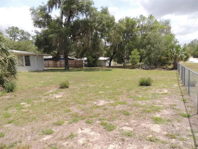 Side & Back Yard