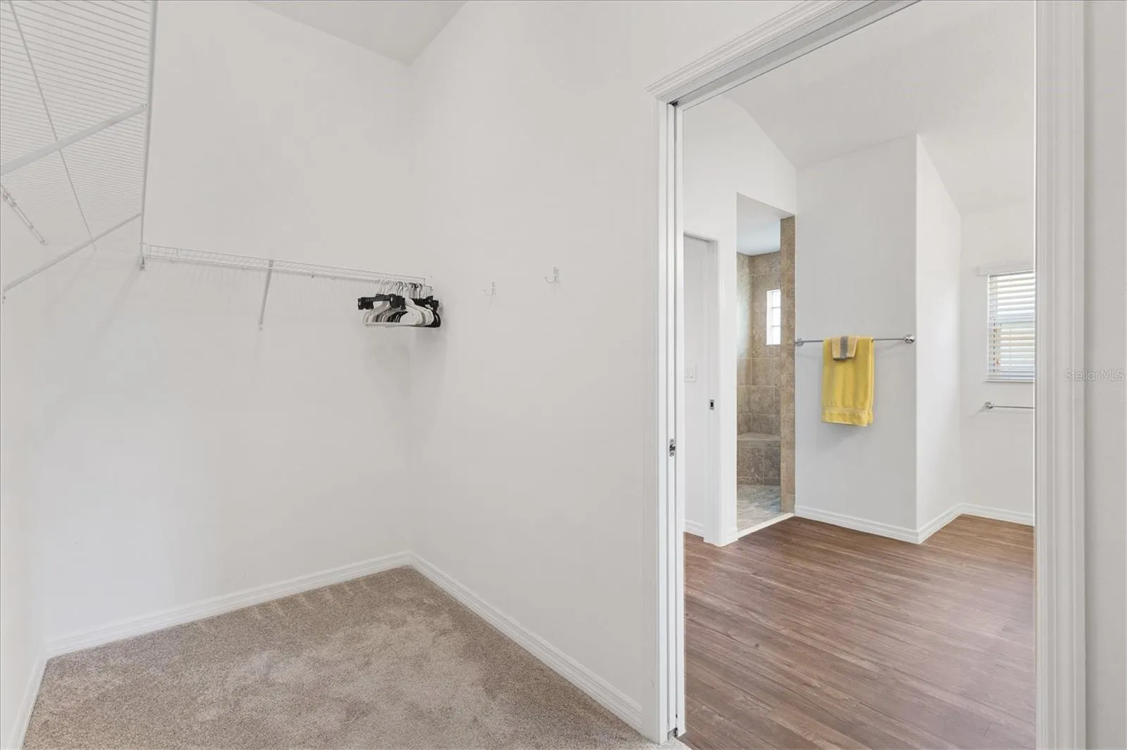 Primary Walk-in Closet