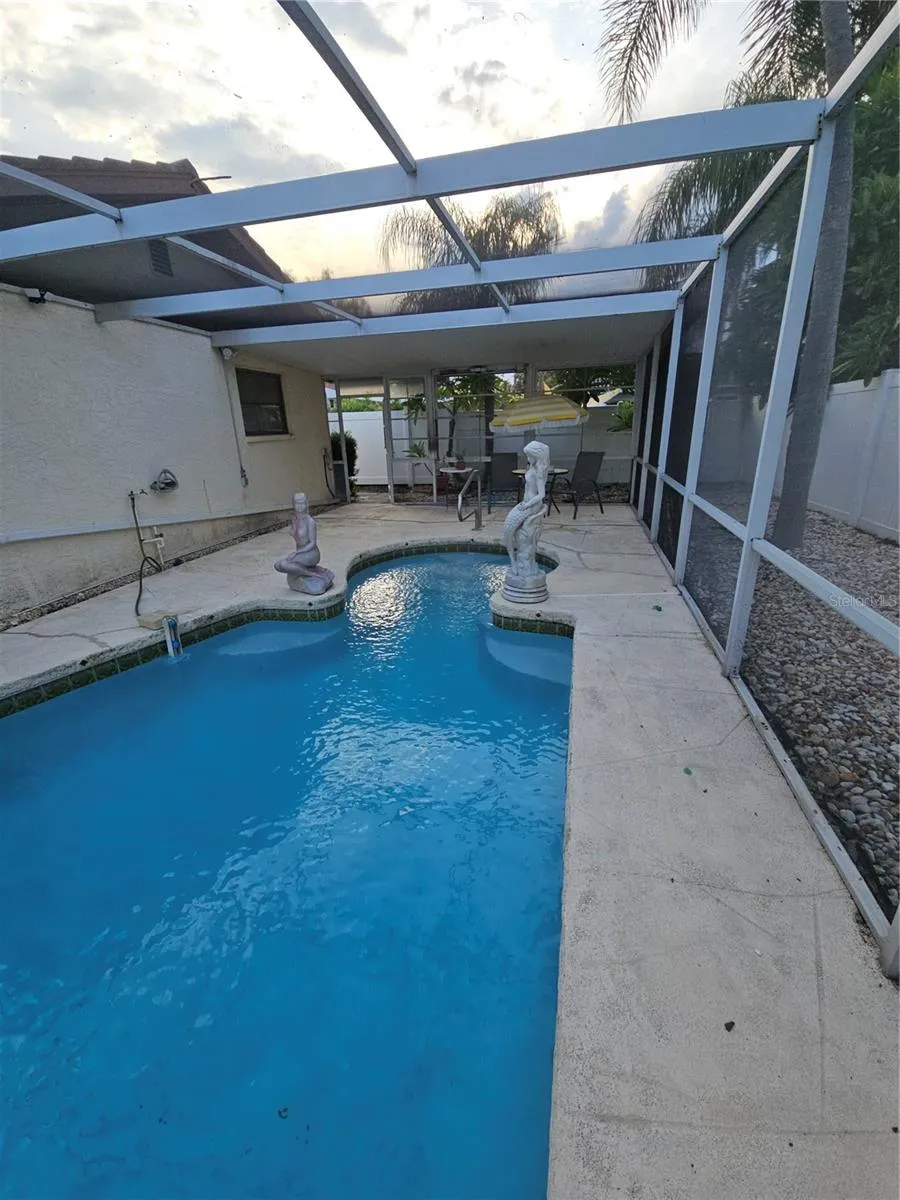 Pool with entertaining area