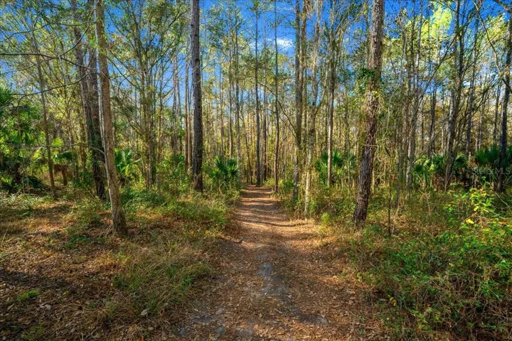 Hiking Trail
