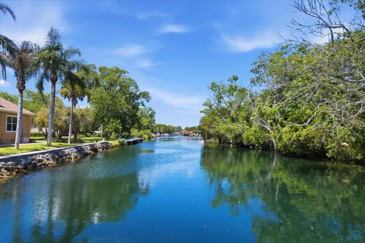 Spring Run Canal Teeming w/ Manatees & Dolphins