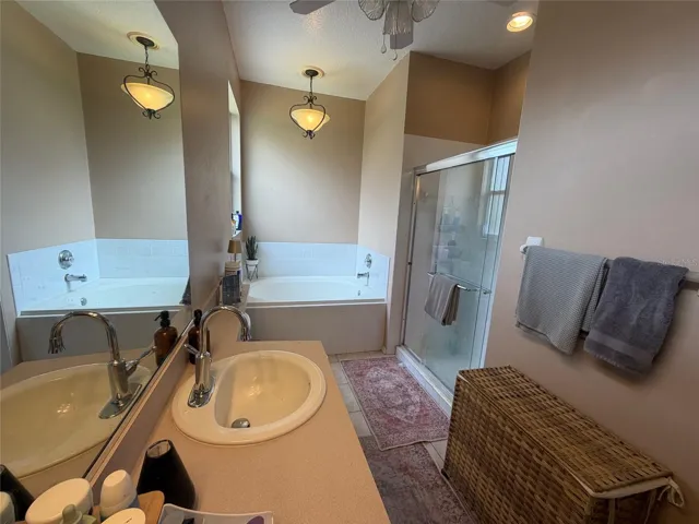 Primary bathroom