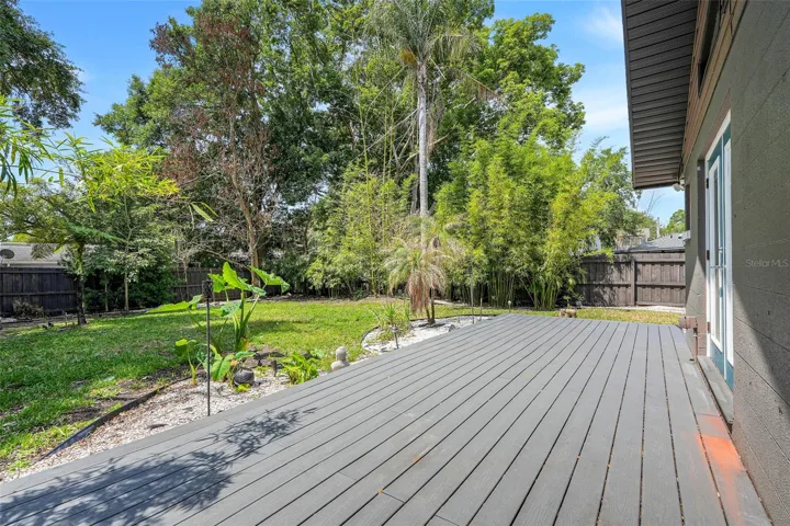 Backyard/Deck
