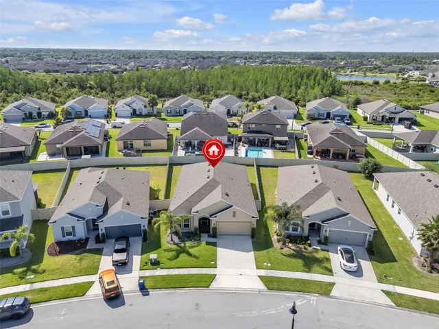 Aerial Community View