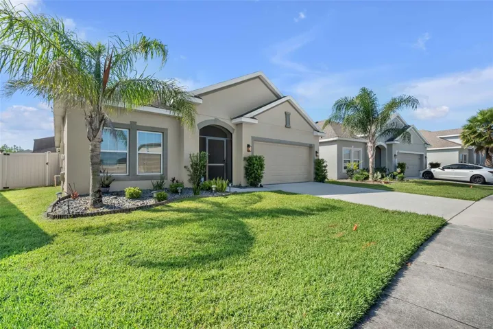 Side yard Exterior