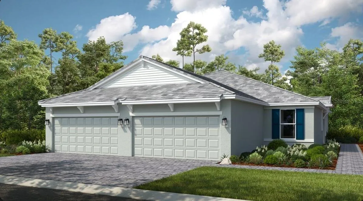 Ibis Rendering