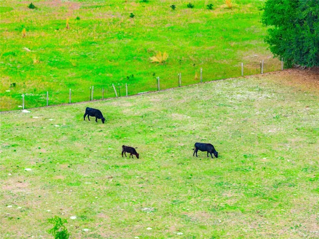 Happy Cow Life