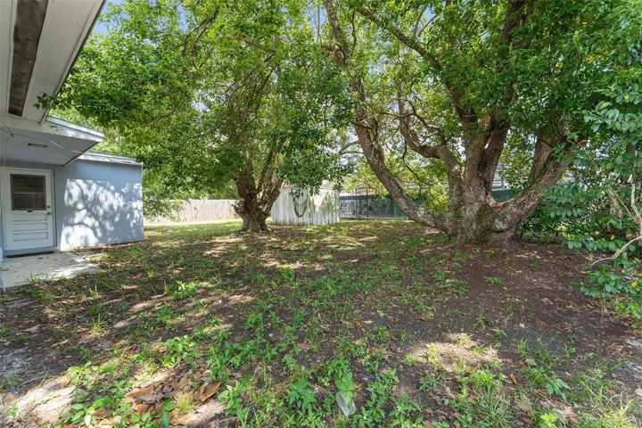 large lot!