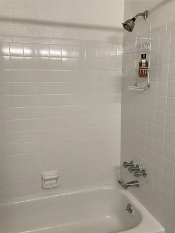 Tub and shower area.