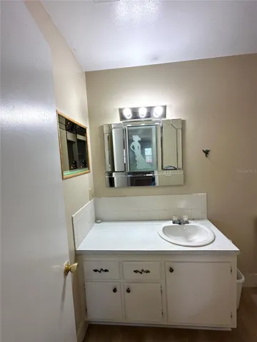 Primary bathroom vanity