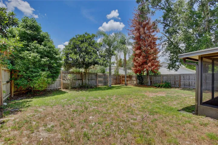 back yard