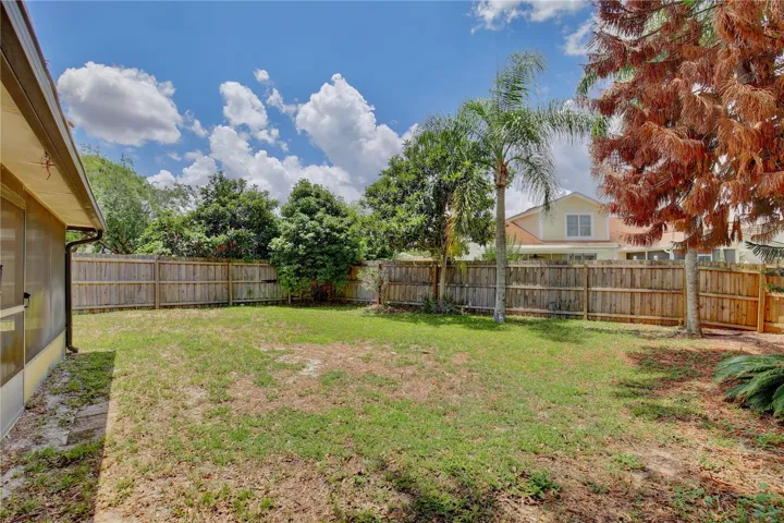 back yard
