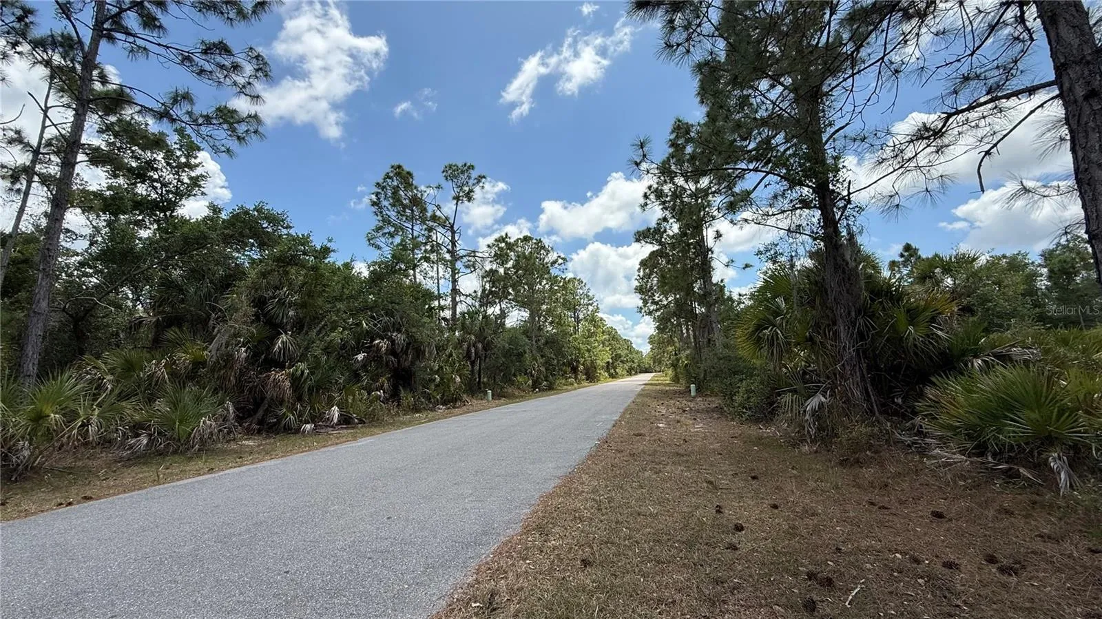 ROAD LEFT SIDE OF LAND